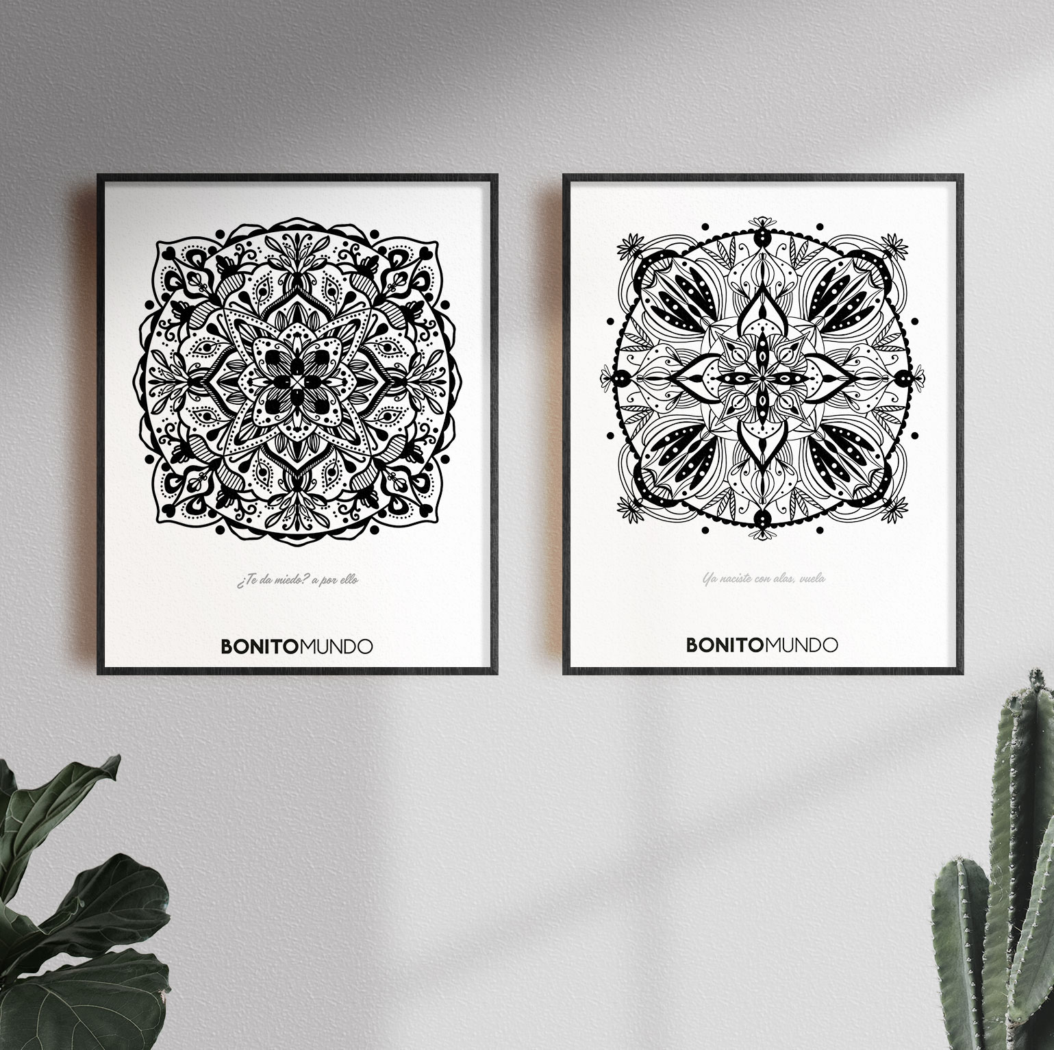 two framed mandalas decorating the wall