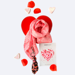 Pack-Regalo-Seda-Panuelo-Charm-Beauty-Bonitomundo